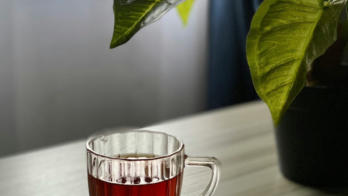 なぜダージリンは「紅茶のシャンパン」なのか——三大産地を、地理で読み解く