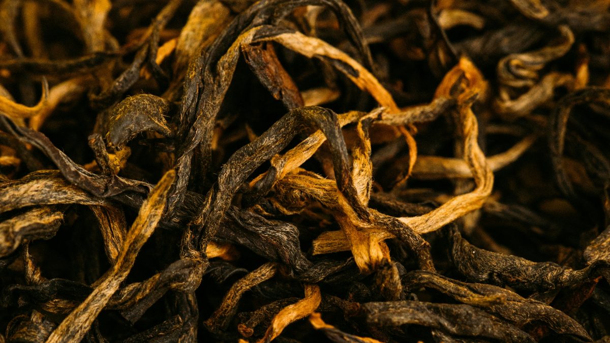 紅茶の9割は「水」でできている——軟水・硬水で、なぜ味が変わるのか